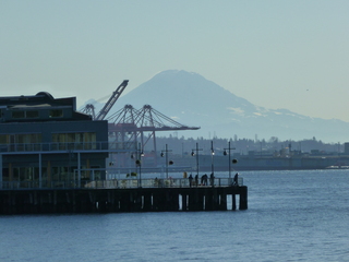 Filename=P1090405.JPG
Filesize=5394KiB
Dimensions=4320x3240
Date added=Dec 28, 2020 P1090405.JPG