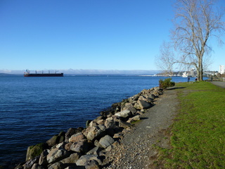 Filename=P1090406.JPG
Filesize=5808KiB
Dimensions=4320x3240
Date added=Dec 28, 2020 P1090406.JPG