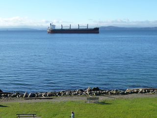 Filename=P1090411.JPG
Filesize=5790KiB
Dimensions=4320x3240
Date added=Dec 28, 2020 P1090411.JPG