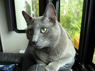 Filename=P1090424.JPG
Filesize=5249KiB
Dimensions=4320x3240
Date added=May 09, 2021 P1090424.JPG