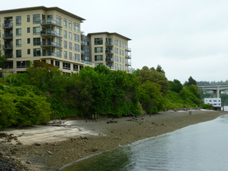 Filename=P1090509.JPG
Filesize=5524KiB
Dimensions=4320x3240
Date added=May 31, 2021 P1090509.JPG