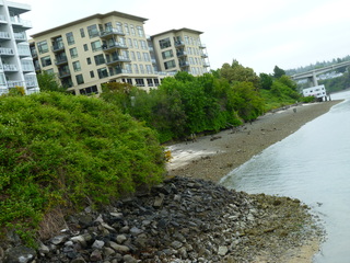 Filename=P1090514.JPG
Filesize=5868KiB
Dimensions=4320x3240
Date added=May 31, 2021 P1090514.JPG