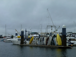 Filename=P1090519.JPG
Filesize=5327KiB
Dimensions=4320x3240
Date added=May 31, 2021 P1090519.JPG