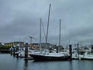 Filename=P1090523.JPG
Filesize=5496KiB
Dimensions=4320x3240
Date added=May 31, 2021 P1090523.JPG