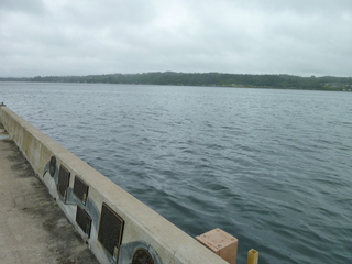 Filename=P1090527.JPG
Filesize=5445KiB
Dimensions=4320x3240
Date added=May 31, 2021 P1090527.JPG