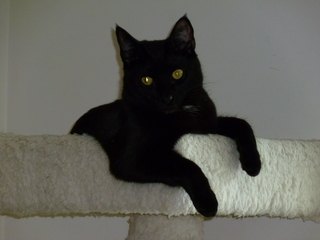 Filename=P1090540.JPG
Filesize=5234KiB
Dimensions=4320x3240
Date added=May 31, 2021 P1090540.JPG