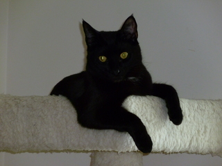 Filename=P1090541.JPG
Filesize=5218KiB
Dimensions=4320x3240
Date added=May 31, 2021 P1090541.JPG