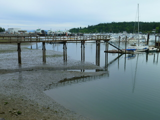 Filename=P1090549.JPG
Filesize=5190KiB
Dimensions=4320x3240
Date added=May 31, 2021 P1090549.JPG