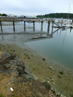 Filename=P1090550.JPG
Filesize=4389KiB
Dimensions=3240x4320
Date added=May 31, 2021 P1090550.JPG