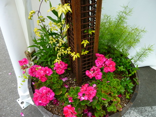 Filename=P1090557.JPG
Filesize=5712KiB
Dimensions=4320x3240
Date added=May 31, 2021 P1090557.JPG