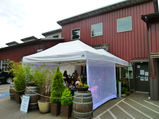 Filename=P1090564.JPG
Filesize=5742KiB
Dimensions=4320x3240
Date added=May 31, 2021 P1090564.JPG