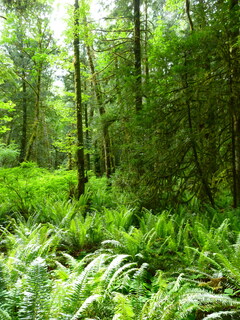 Filename=P1090584.JPG
Filesize=4873KiB
Dimensions=3240x4320
Date added=May 31, 2021 P1090584.JPG