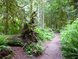 Filename=P1090586.JPG
Filesize=5690KiB
Dimensions=4320x3240
Date added=May 31, 2021 P1090586.JPG