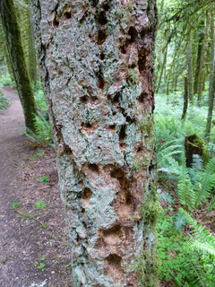 Filename=P1090587.JPG
Filesize=4653KiB
Dimensions=3240x4320
Date added=May 31, 2021 P1090587.JPG