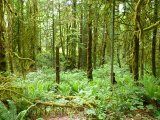 Filename=P1090588.JPG
Filesize=5815KiB
Dimensions=4320x3240
Date added=May 31, 2021 P1090588.JPG