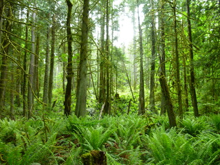 Filename=P1090590.JPG
Filesize=5677KiB
Dimensions=4320x3240
Date added=May 31, 2021 P1090590.JPG