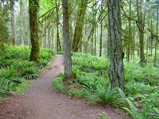 Filename=P1090592.JPG
Filesize=5525KiB
Dimensions=4320x3240
Date added=May 31, 2021 P1090592.JPG