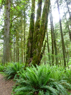 Filename=P1090593.JPG
Filesize=4603KiB
Dimensions=3240x4320
Date added=May 31, 2021 P1090593.JPG