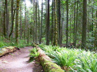 Filename=P1090595.JPG
Filesize=5749KiB
Dimensions=4320x3240
Date added=May 31, 2021 P1090595.JPG