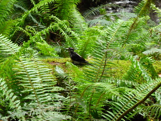 Filename=P1090599.JPG
Filesize=6195KiB
Dimensions=4320x3240
Date added=May 31, 2021 P1090599.JPG