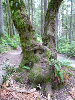 Filename=P1090601.JPG
Filesize=4644KiB
Dimensions=3240x4320
Date added=May 31, 2021 P1090601.JPG