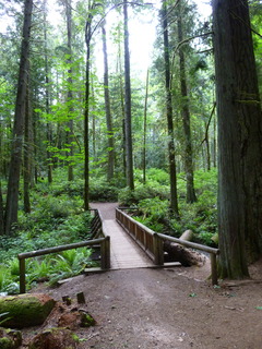 Filename=P1090603.JPG
Filesize=4664KiB
Dimensions=3240x4320
Date added=May 31, 2021 P1090603.JPG