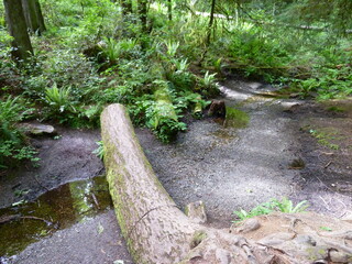 Filename=P1090605.JPG
Filesize=5875KiB
Dimensions=4320x3240
Date added=May 31, 2021 P1090605.JPG