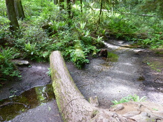 Filename=P1090606.JPG
Filesize=5870KiB
Dimensions=4320x3240
Date added=May 31, 2021 P1090606.JPG