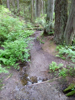 Filename=P1090607.JPG
Filesize=4758KiB
Dimensions=3240x4320
Date added=May 31, 2021 P1090607.JPG