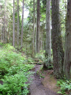 Filename=P1090608.JPG
Filesize=4983KiB
Dimensions=3240x4320
Date added=May 31, 2021 P1090608.JPG