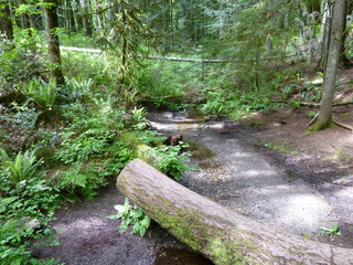 Filename=P1090609.JPG
Filesize=5794KiB
Dimensions=4320x3240
Date added=May 31, 2021 P1090609.JPG