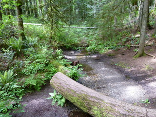 Filename=P1090610.JPG
Filesize=5574KiB
Dimensions=4320x3240
Date added=May 31, 2021 P1090610.JPG