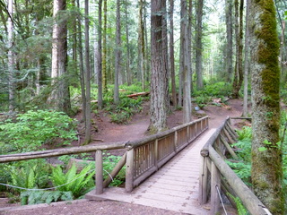 Filename=P1090611.JPG
Filesize=6163KiB
Dimensions=4320x3240
Date added=May 31, 2021 P1090611.JPG