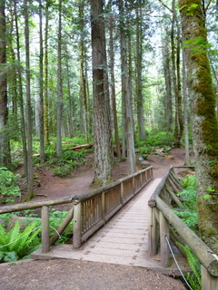 Filename=P1090612.JPG
Filesize=4826KiB
Dimensions=3240x4320
Date added=May 31, 2021 P1090612.JPG