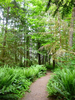 Filename=P1090618.JPG
Filesize=4730KiB
Dimensions=3240x4320
Date added=May 31, 2021 P1090618.JPG