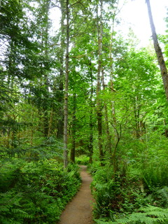 Filename=P1090619.JPG
Filesize=4814KiB
Dimensions=3240x4320
Date added=May 31, 2021 P1090619.JPG