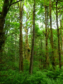 Filename=P1090623.JPG
Filesize=4963KiB
Dimensions=3240x4320
Date added=May 31, 2021 P1090623.JPG