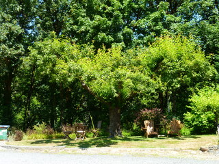 Filename=P1090720.JPG
Filesize=5687KiB
Dimensions=4320x3240
Date added=Sep 06, 2021 P1090720.JPG