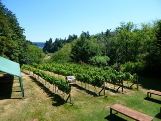 Filename=P1090722.JPG
Filesize=5401KiB
Dimensions=4320x3240
Date added=Sep 06, 2021 P1090722.JPG