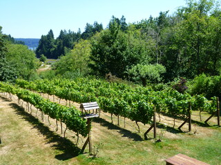 Filename=P1090723.JPG
Filesize=5521KiB
Dimensions=4320x3240
Date added=Sep 06, 2021 P1090723.JPG