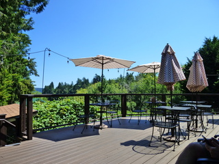 Filename=P1090726.JPG
Filesize=6021KiB
Dimensions=4320x3240
Date added=Sep 06, 2021 P1090726.JPG