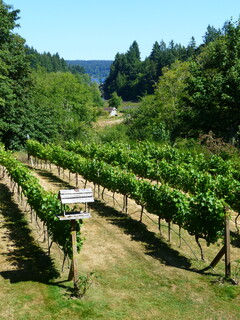 Filename=P1090728.JPG
Filesize=4665KiB
Dimensions=3240x4320
Date added=Sep 06, 2021 P1090728.JPG