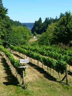 Filename=P1090729.JPG
Filesize=4685KiB
Dimensions=3240x4320
Date added=Sep 06, 2021 P1090729.JPG