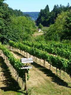 Filename=P1090730.JPG
Filesize=4643KiB
Dimensions=3240x4320
Date added=Sep 06, 2021 P1090730.JPG