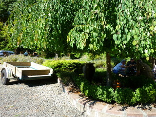 Filename=P1090736.JPG
Filesize=5788KiB
Dimensions=4320x3240
Date added=Sep 06, 2021 P1090736.JPG