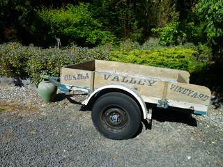 Filename=P1090737.JPG
Filesize=5709KiB
Dimensions=4320x3240
Date added=Sep 06, 2021 P1090737.JPG