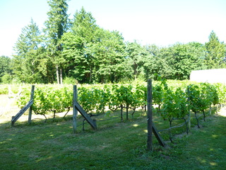 Filename=P1090744.JPG
Filesize=5670KiB
Dimensions=4320x3240
Date added=Sep 06, 2021 P1090744.JPG