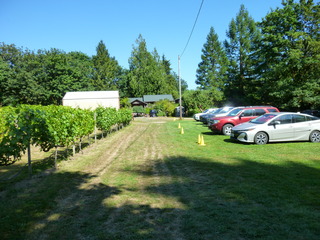 Filename=P1090745.JPG
Filesize=5351KiB
Dimensions=4320x3240
Date added=Sep 06, 2021 P1090745.JPG