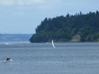 Filename=P1090776.JPG
Filesize=5383KiB
Dimensions=4320x3240
Date added=Sep 06, 2021 P1090776.JPG