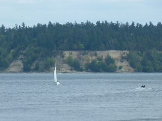 Filename=P1090784.JPG
Filesize=5605KiB
Dimensions=4320x3240
Date added=Sep 06, 2021 P1090784.JPG